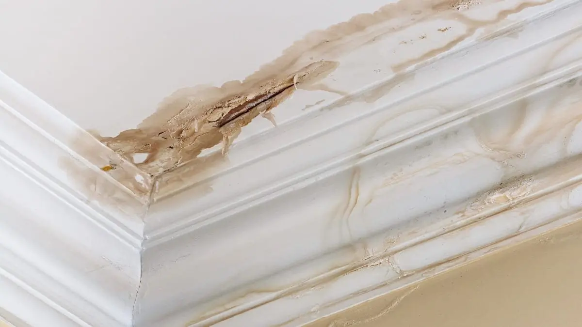 reasons for roof leaks common causes of roof leaks roof leaks in sarasota florida roofing contractor sarasota